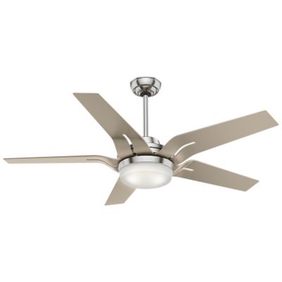 Correne Ceiling Fan