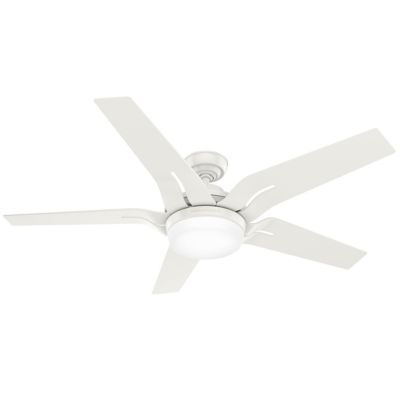 Correne Ceiling Fan