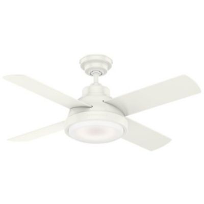 Levitt Ceiling Fan