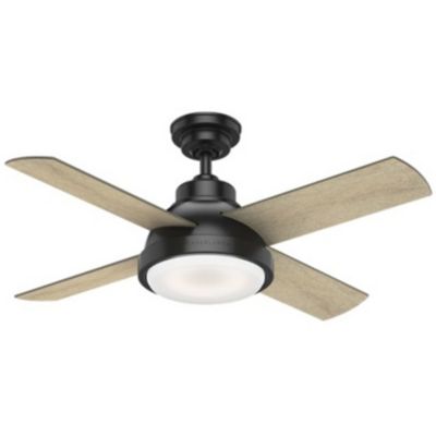 Levitt Ceiling Fan