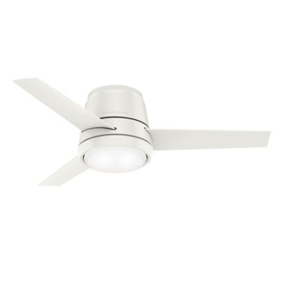 Commodus LED Ceiling Fan