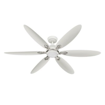 Azalea Outdoor Ceiling Fan with LED Light