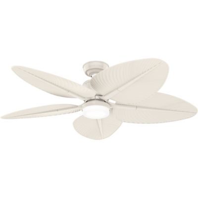 Coveview Outdoor Ceiling Fan with Light