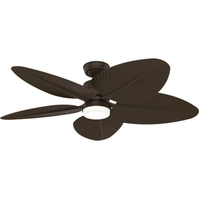 Coveview Outdoor Ceiling Fan with Light