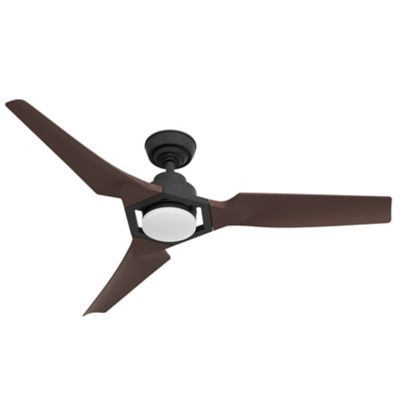 Eula Outdoor Ceiling Fan with Light