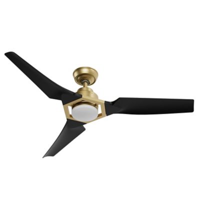 Eula Outdoor Ceiling Fan with Light