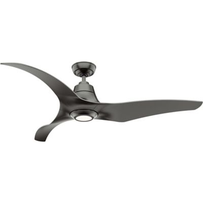 Stingray Outdoor Ceiling Fan with Light