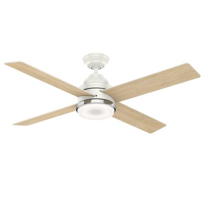 Daphne Ceiling Fan with LED Light