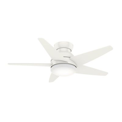 Isotope LED Ceiling Fan