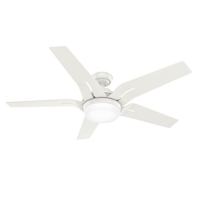 Correne LED Ceiling Fan
