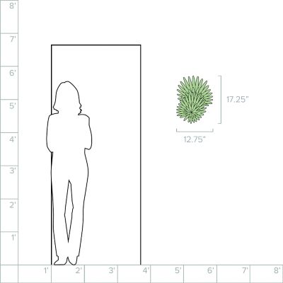 Lumens/CBLP335841_sd_08b