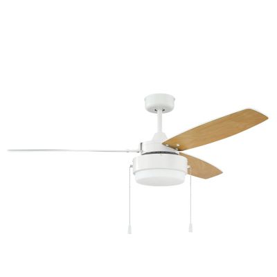 Intrepid Ceiling Fan