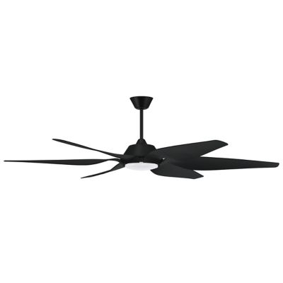 Zoom Indoor/Outdoor LED Fan