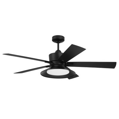 Topper Indoor/Oudoor Smart LED Ceiling Fan