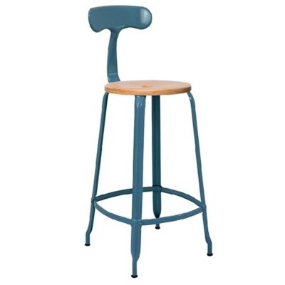 Nicolle Wood & Metal Bar/Counter Stool with Backrest
