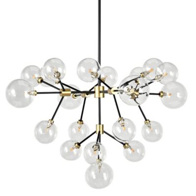 Timothy Chandelier
