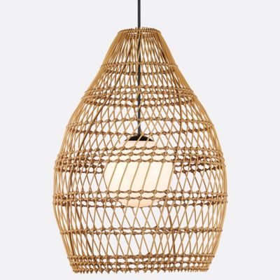 Fishtrap Outdoor Pendant
