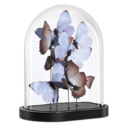 Rue de Bac Lilac Butterflies