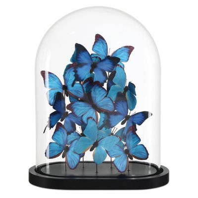 Rue de Bac Butterflies