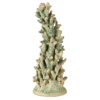 Staghorn Coral Object