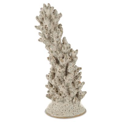 Staghorn Coral Object