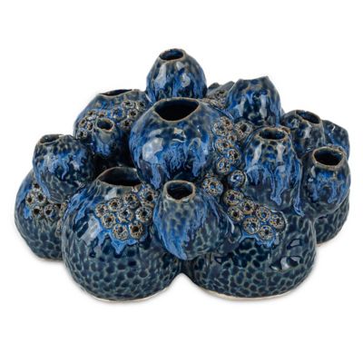 Sulawasi Shell Object