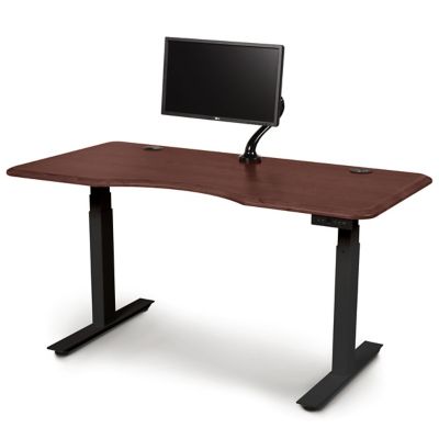 Invigo Ergonomic Sit-Stand Desk with Monitor Arm
