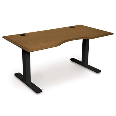 Invigo Ergonomic Sit-Stand Desk