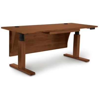 Otto Sit Stand Desk with Modesty Panel - Dania Furniture