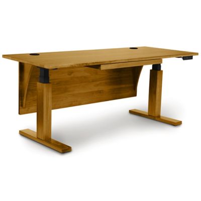 Invigo Sit-Stand Desk with Modesty Panel