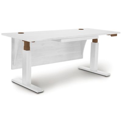 Fancierstudio Riser Desk Standing Desk - ASU Catholic Newman