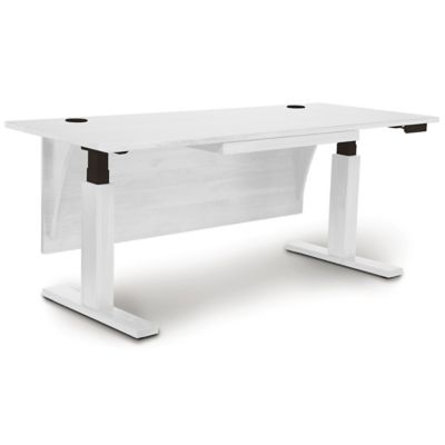 Invigo SitStand Desk with Modesty Panel by Copeland Furniture at