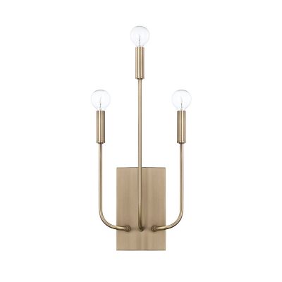 Zander Wall Sconce