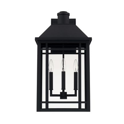 Braden Outdoor Wall Sconce