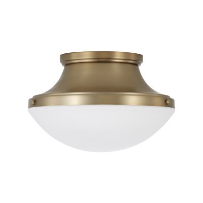 Arlo Flushmount