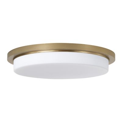 Dominic LED Flushmount