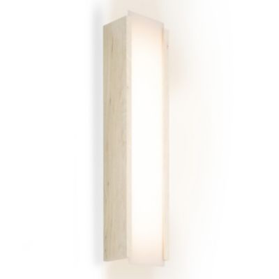 Capio LED Wall Sconce