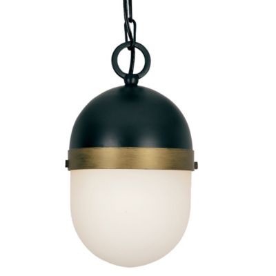 Capsule Outdoor Pendant