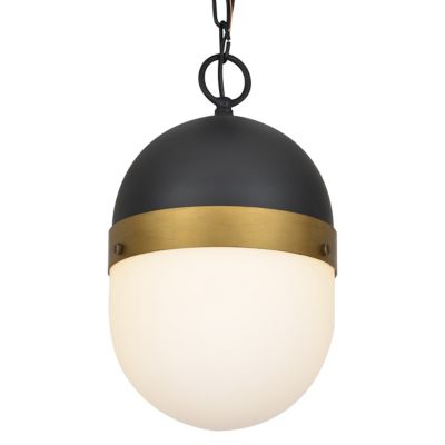 Capsule Outdoor Pendant