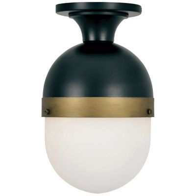 Capsule Outdoor Semi-Flushmount