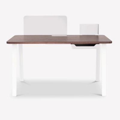 Mantis Desk
