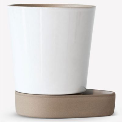 Sip Self-Watering Plant Pot