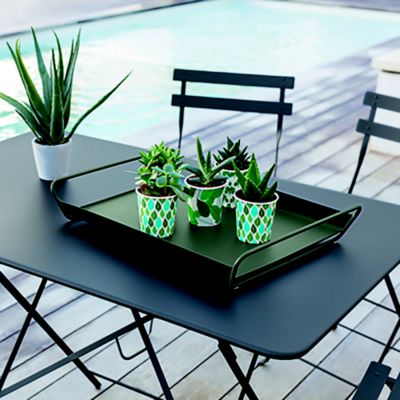 Shown in Application Shot