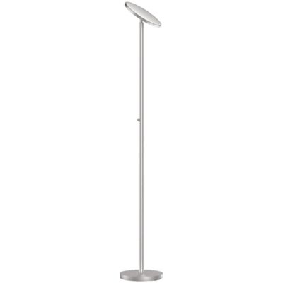 30W Torchier LED Floor Lamp