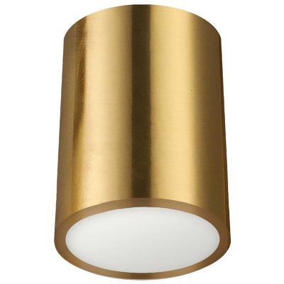 Echo Cylinder LED Flushmount