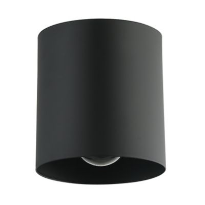 Theron Flushmount