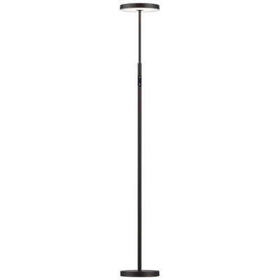 Francine LED Floor Lamp
