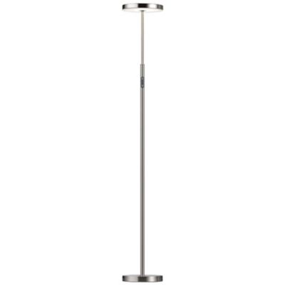 Francine LED Floor Lamp
