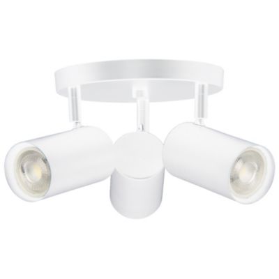 Taylor Spotlight Flushmount