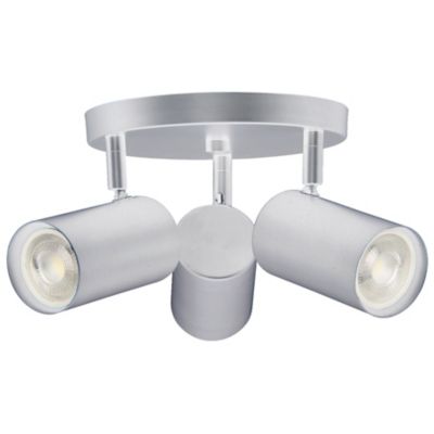 Taylor Spotlight Flushmount